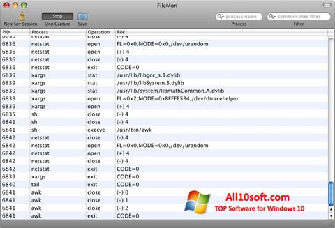 Screenshot FileMon Windows 10