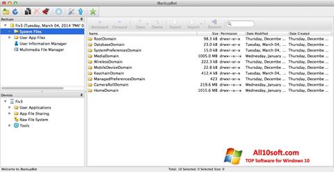 Screenshot iBackupBot Windows 10